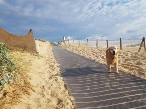 Cocooning et plages